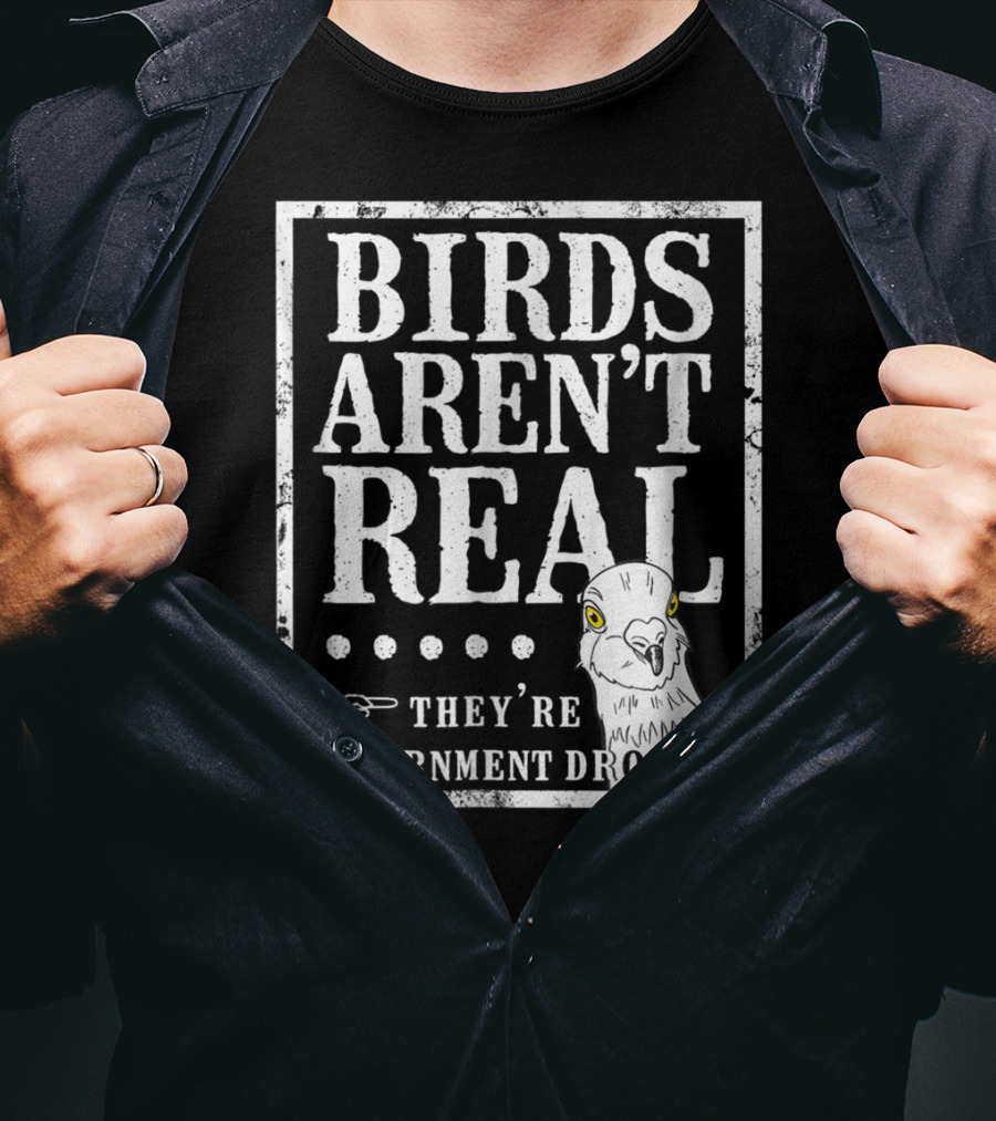 Birds Aren't Real They're Government Drones Meme T-Shirt