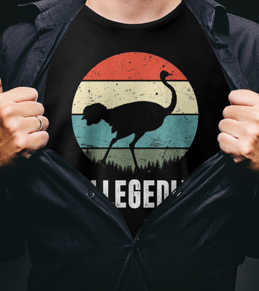Allegedly Ostrich Silhouette Retro Stripes T-Shirt