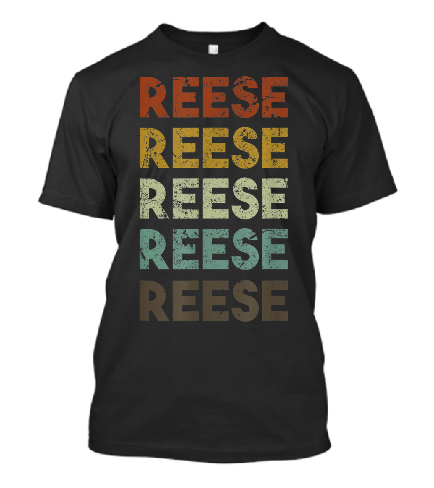 Reese Michigan Vintage Retro Colorful Stacked Text T-Shirt