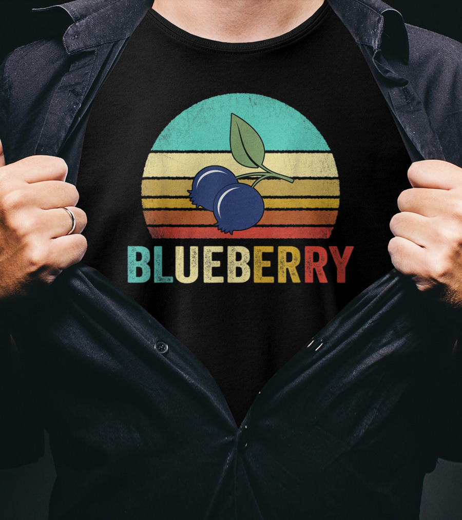 Vintage Blueberry Retro Sunset Stripes T-Shirt