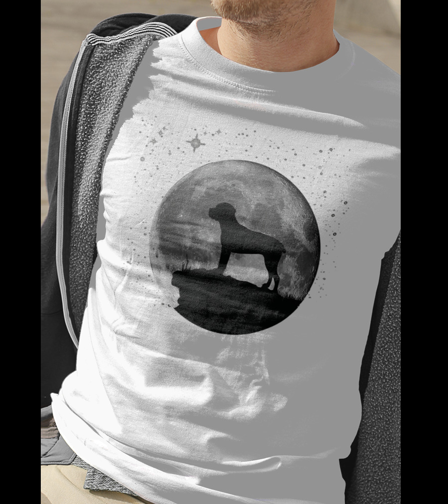 Cane Corso Silhouette Against Full Moon And Starry Sky T-Shirt