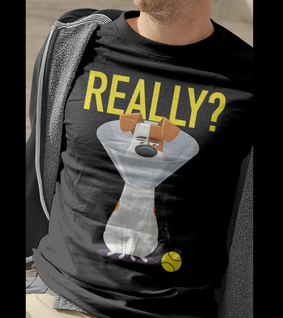 The Secret Life Of Pets 2 Max Really? Ball Cone Collar T-Shirt