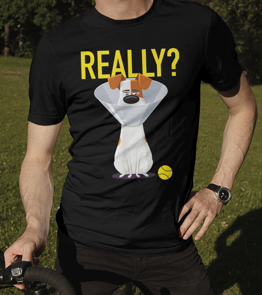 The Secret Life Of Pets 2 Max Really? Ball Cone Collar T-Shirt