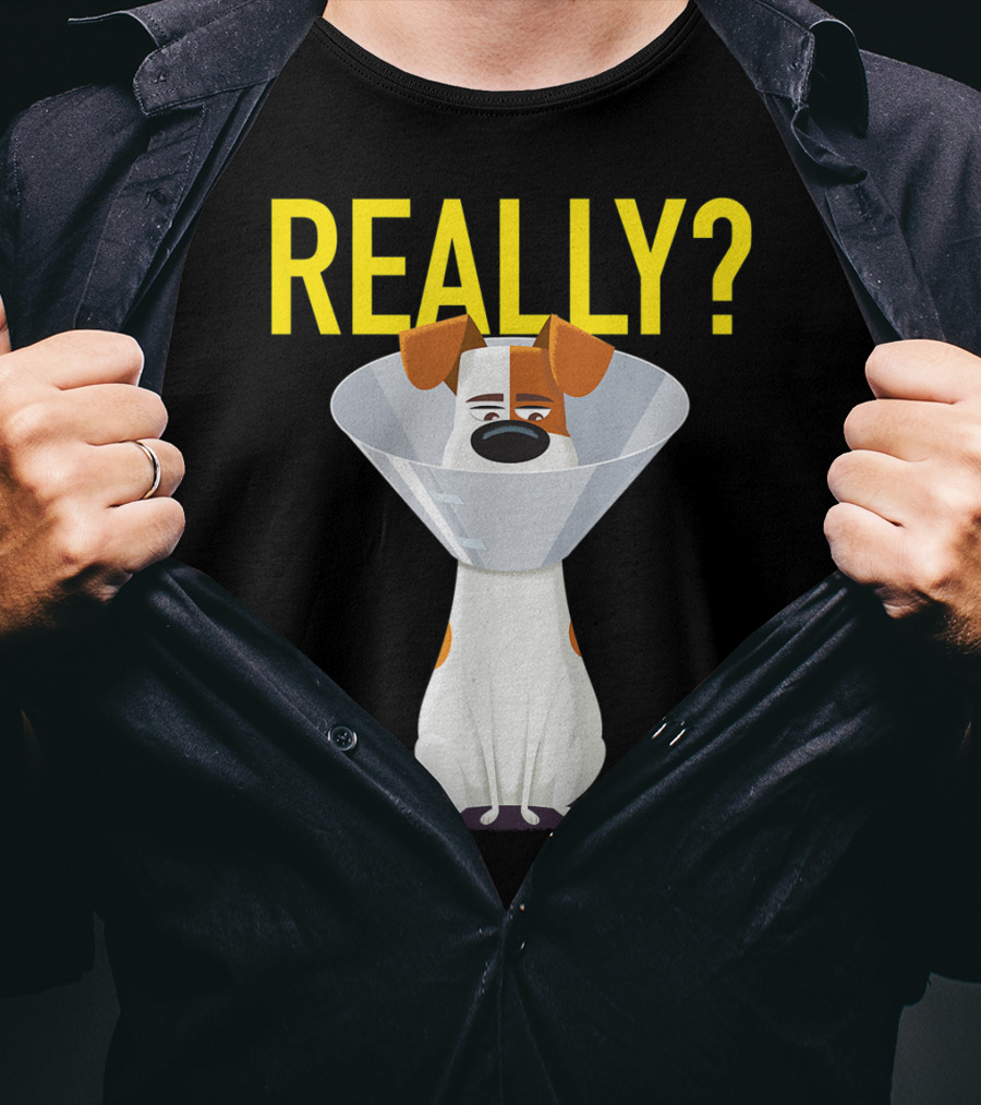 The Secret Life Of Pets 2 Max Really? Ball Cone Collar T-Shirt