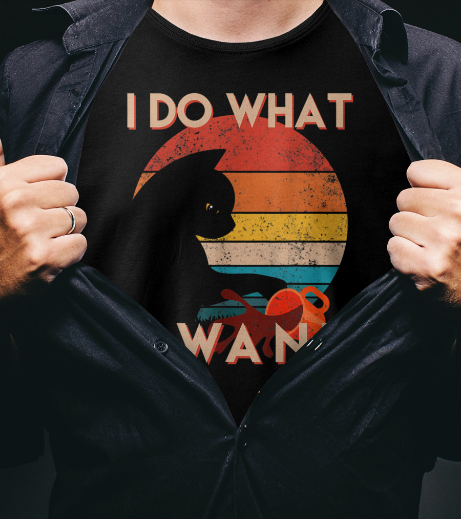 Vintage Cat I Do What I Want Retro Sunset Style Art Cat T-Shirt