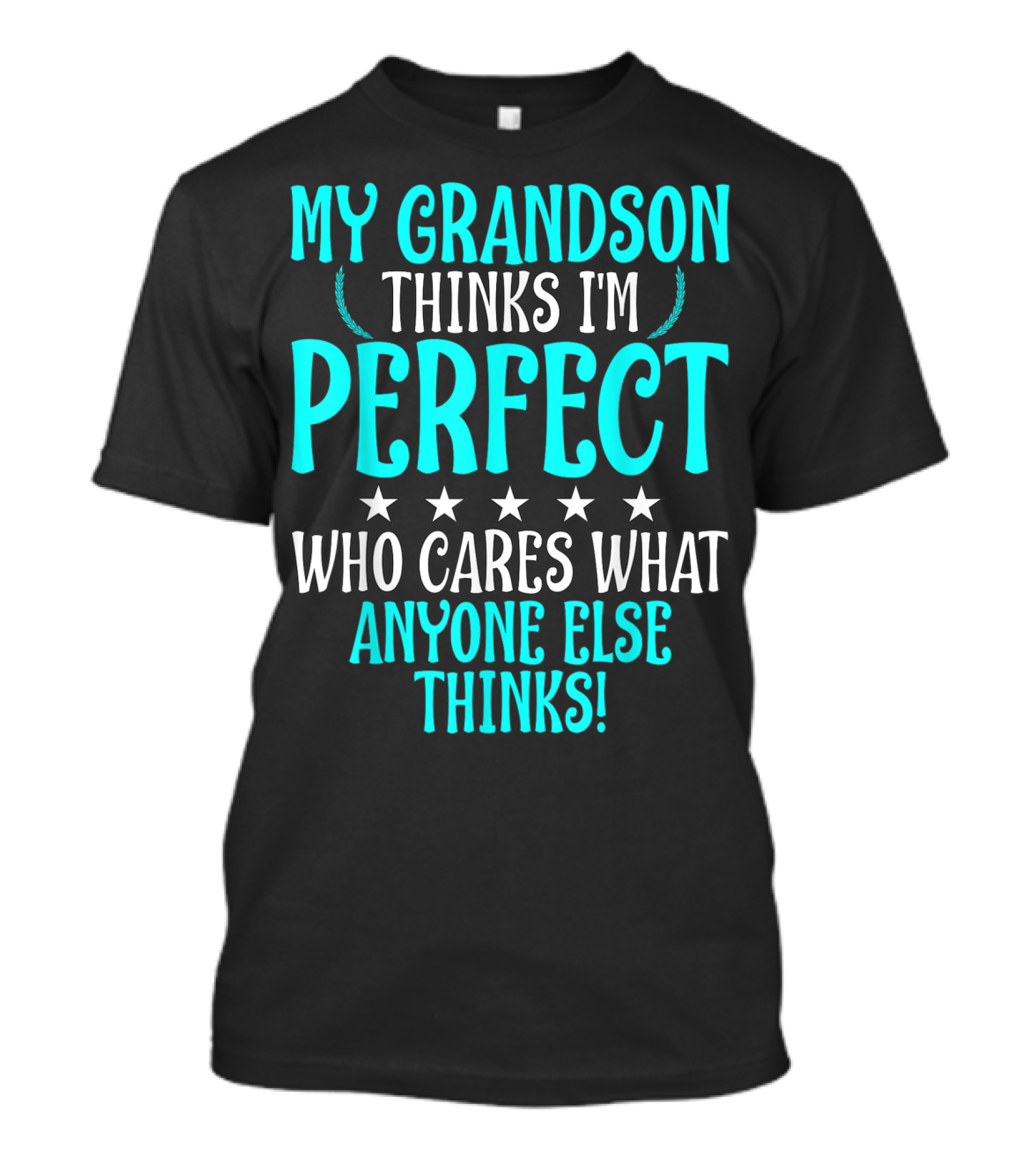 My Grandson Thinks I'm Perfect Who Cares What Anyone Else Thinks T-Shirt