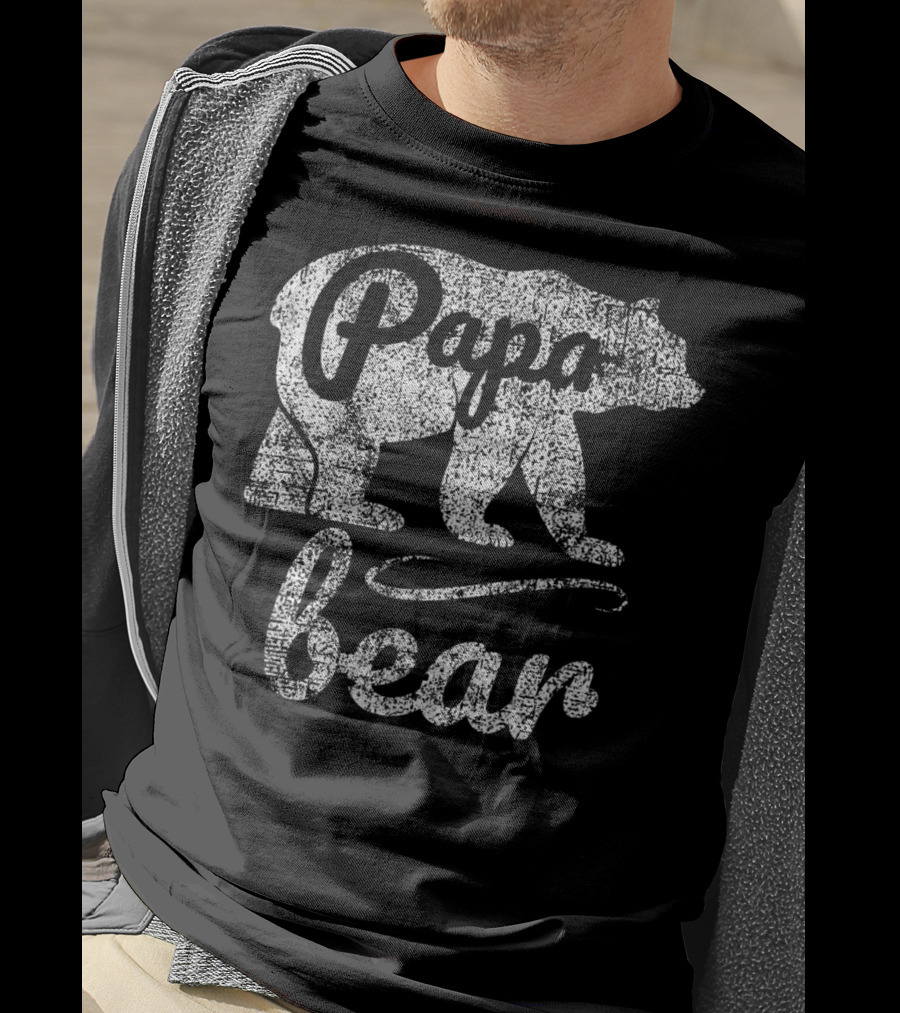 Papa Bear Silhouette Vintage Men's T-Shirt