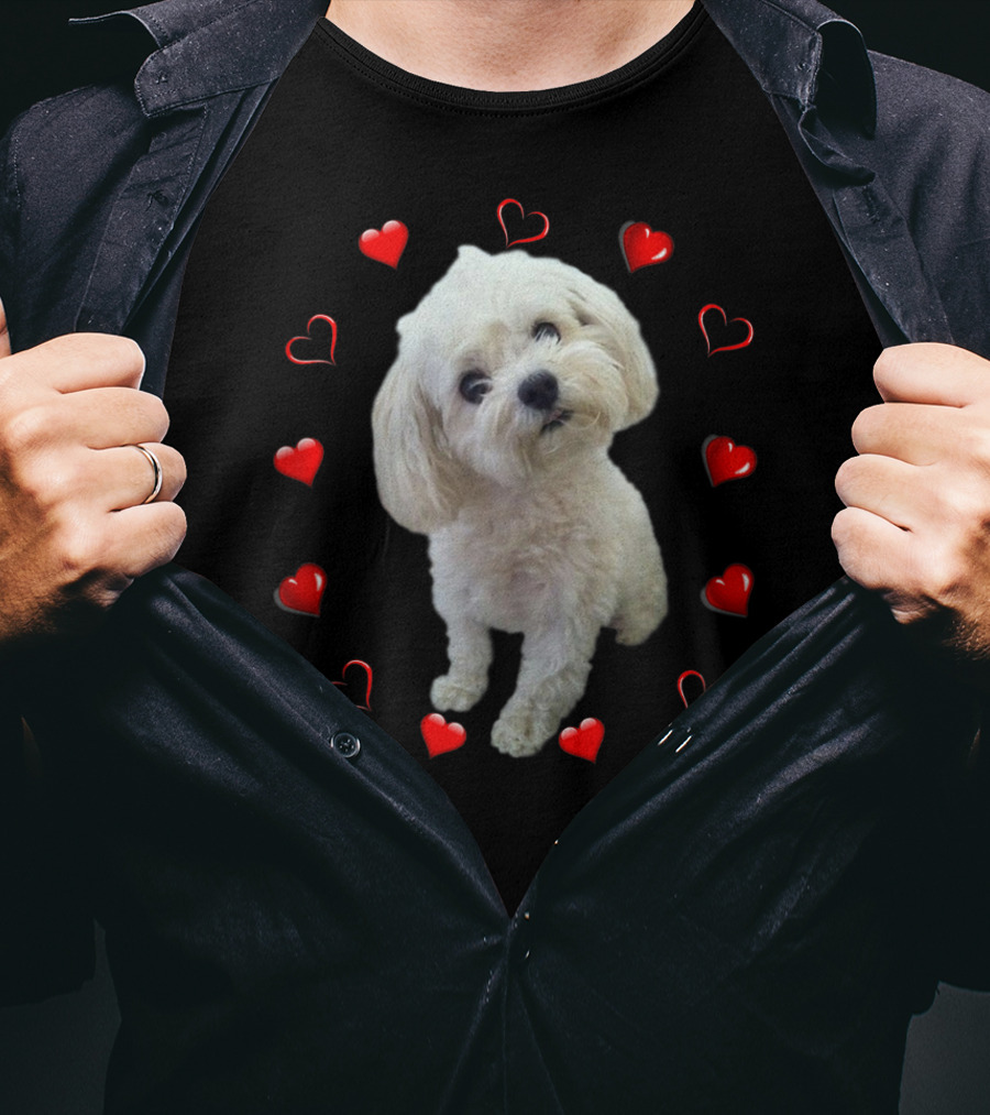 Maltese Dog Lover Puppy Owner Maltipoo Mix Fans Heart T-Shirt