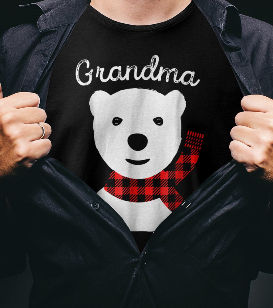Family Matching Christmas Grandma Bear With Plaid Scarf T-Shirt