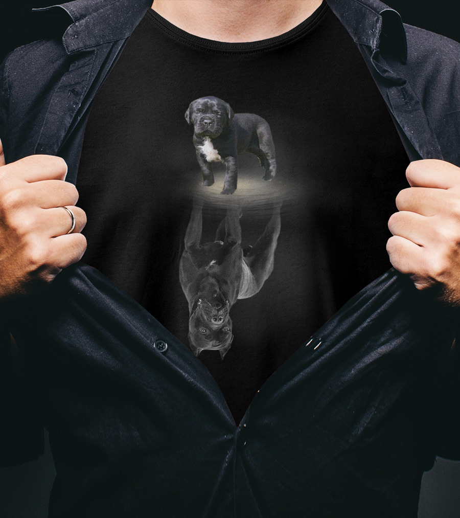 Cane Corso Dog Lovers Cane Corso Mastiff Reflection T-Shirt