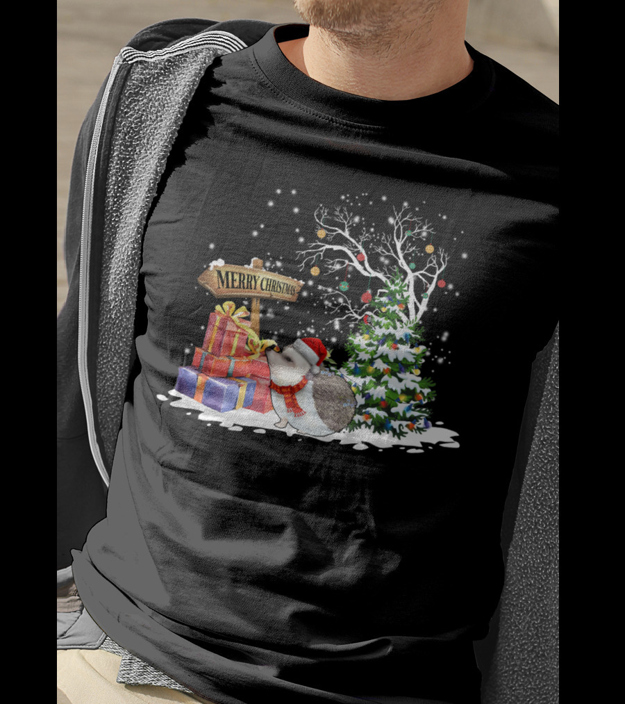 Merry Christmas Funny Hedgehog Santa Christmas Hedgehog Lover T-Shirt