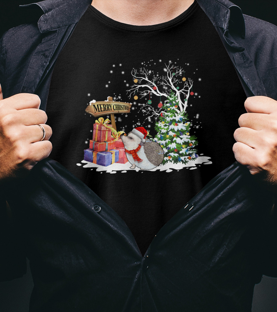 Merry Christmas Funny Hedgehog Santa Christmas Hedgehog Lover T-Shirt