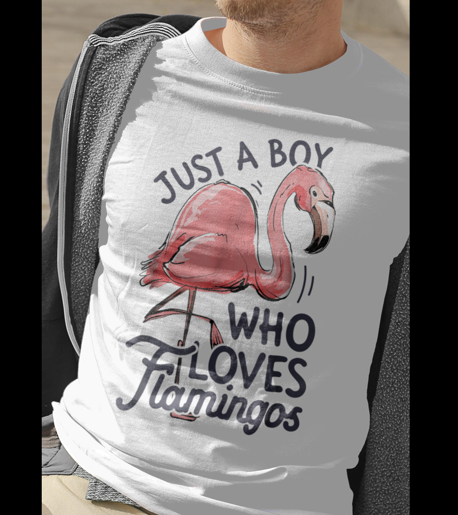 Just A Boy Who Loves Flamingos Pink Flamingo T-Shirt