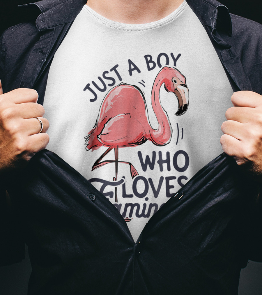 Just A Boy Who Loves Flamingos Pink Flamingo T-Shirt