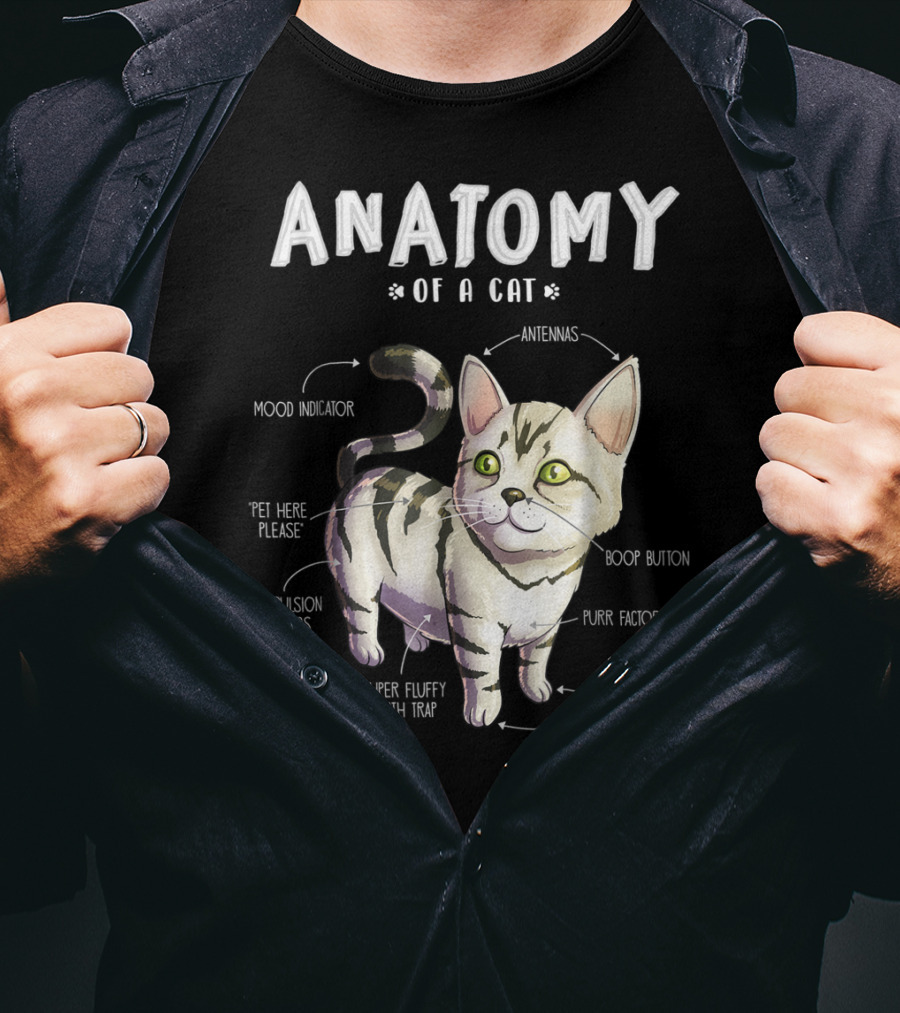 Anatomy Of A Cat Mood Indicator Antennas Super Fluffy Death Trap Boop Button Cute Funny Kitten Pet T-Shirt