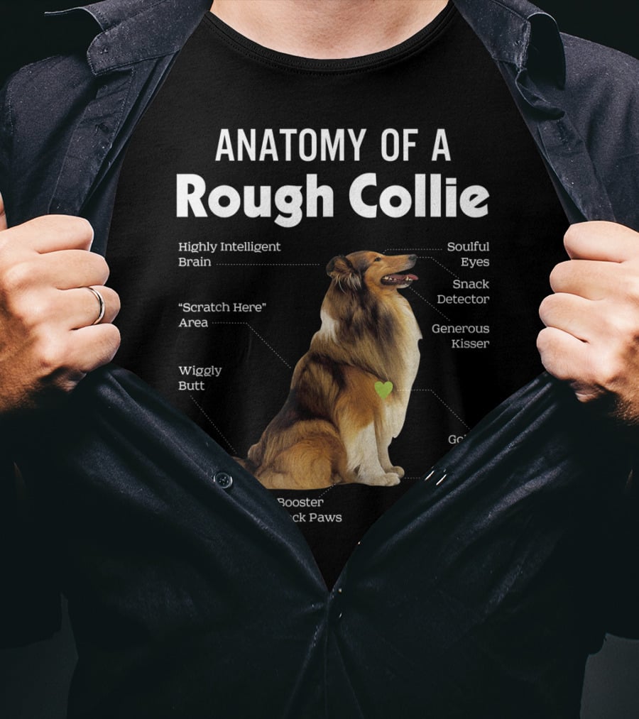 Anatomy Of A Rough Collie Highly Intelligent Brain Soulful Eyes Generous Kisser Golden Heart Wiggly Butt Fluffy Duster Back Paws T-Shirt