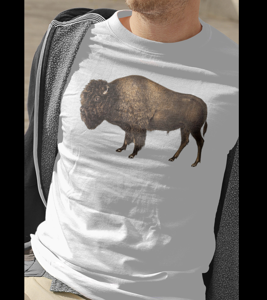 Buffalo Bison Vintage American Classic T-Shirt