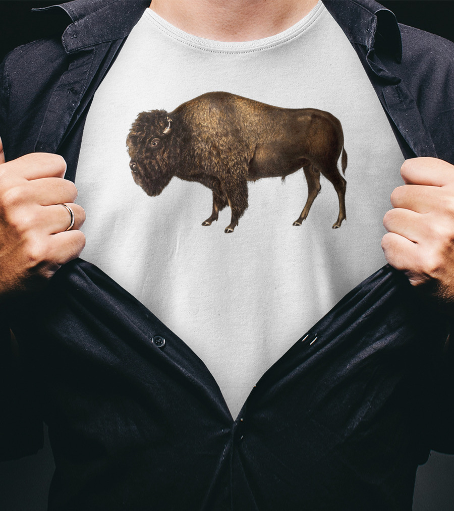 Buffalo Bison Vintage American Classic T-Shirt