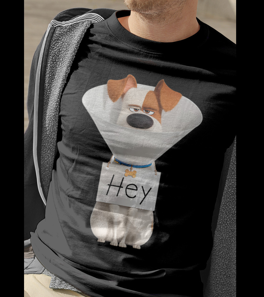 Hey Max Dog Cone Humor T-Shirt