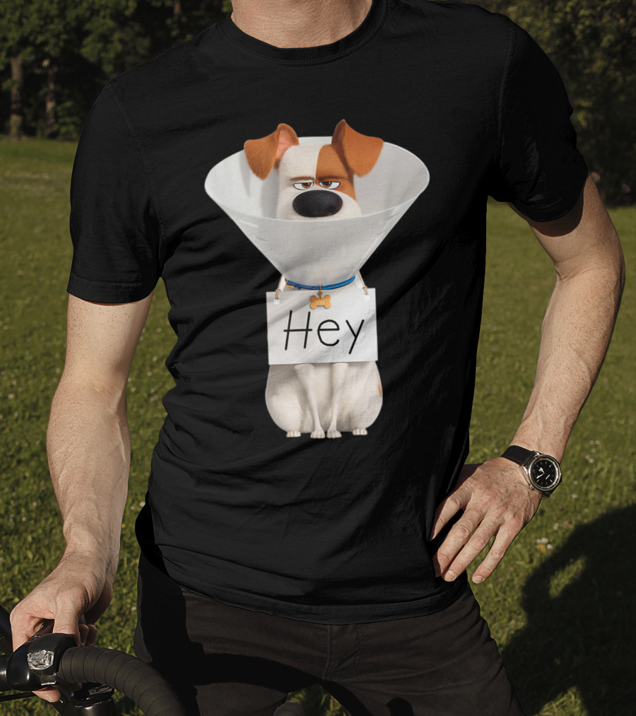 Hey Max Dog Cone Humor T-Shirt