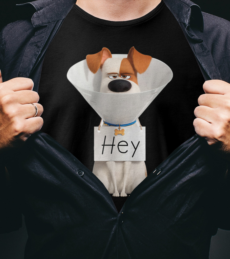 Hey Max Dog Cone Humor T-Shirt