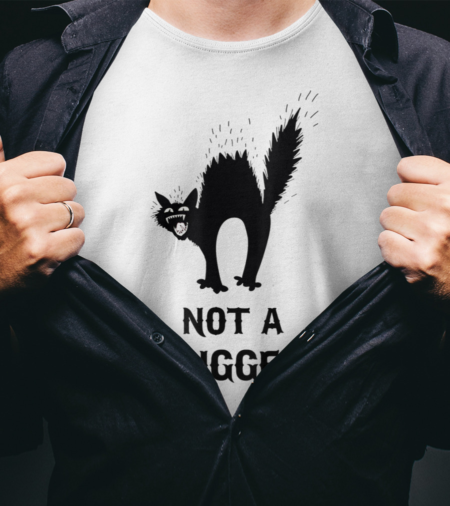 Not A Hugger Angry Black Cat T-Shirt