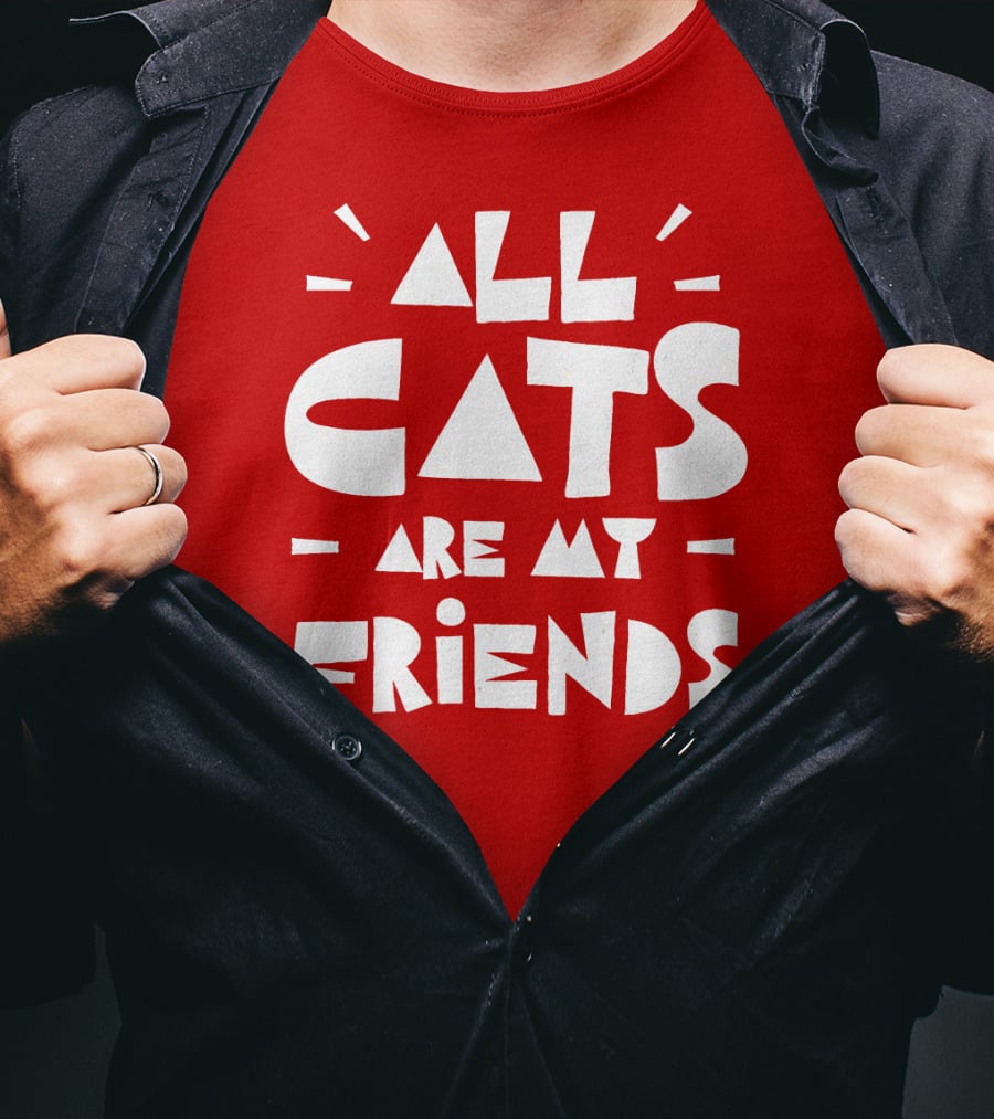 All Cats Are My Friends Cat Lover T-Shirt