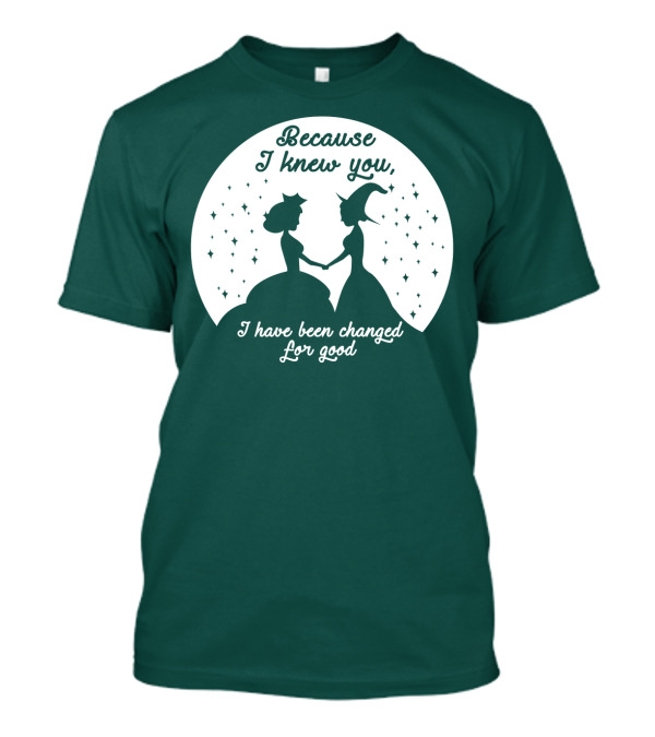 Because I Knew You I Have Been Changed For Good Silhouettes Stars T-Shirt