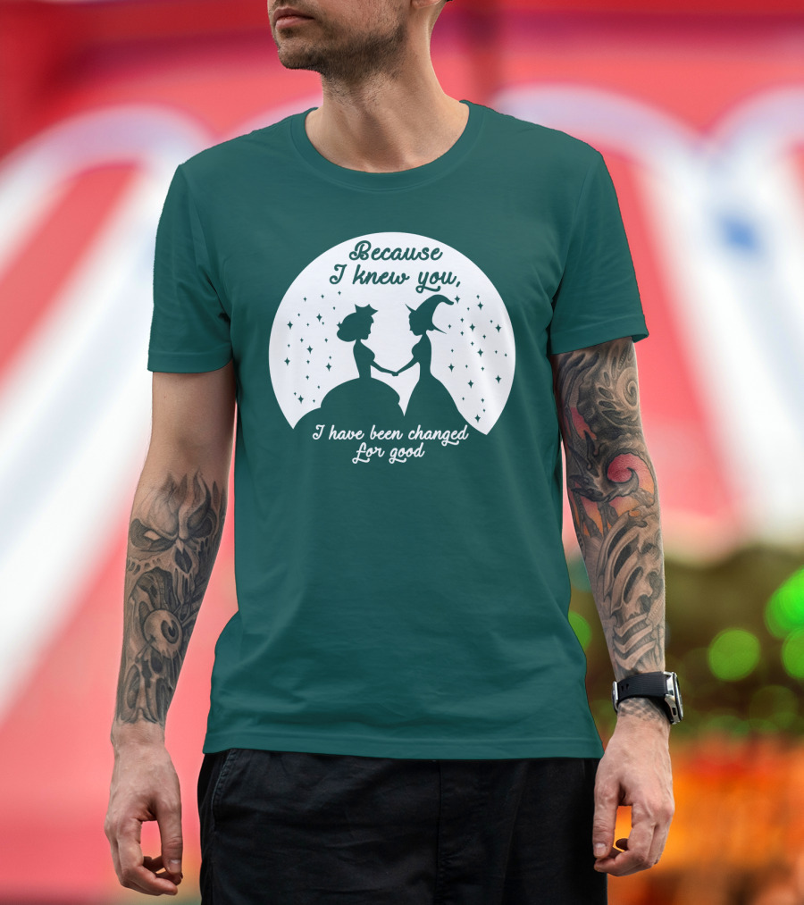 Because I Knew You I Have Been Changed For Good Silhouettes Stars T-Shirt