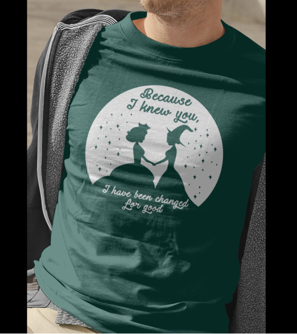 Because I Knew You I Have Been Changed For Good Silhouettes Stars T-Shirt