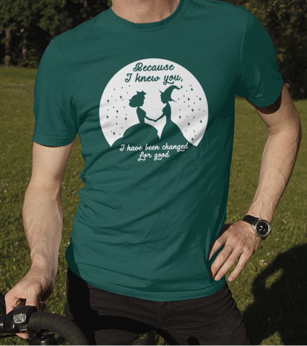 Because I Knew You I Have Been Changed For Good Silhouettes Stars T-Shirt