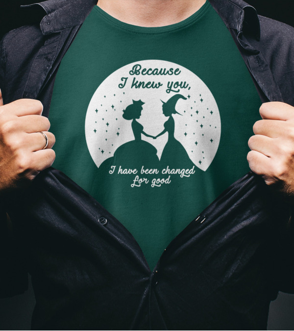 Because I Knew You I Have Been Changed For Good Silhouettes Stars T-Shirt