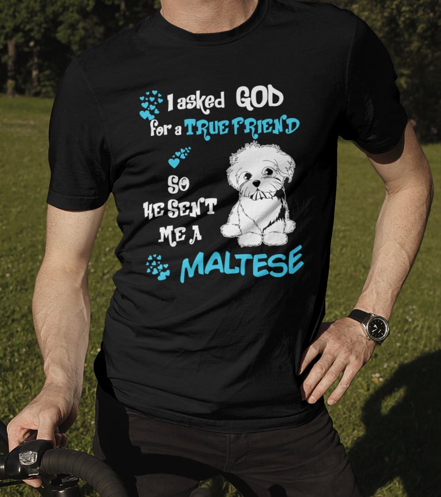 God Sent Me A True Friend Maltese Dog So He Sent Me A Maltese T-Shirt