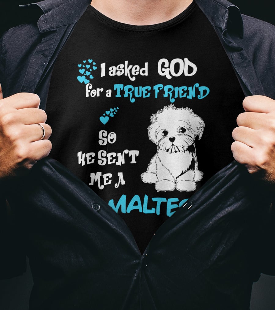 God Sent Me A True Friend Maltese Dog So He Sent Me A Maltese T-Shirt