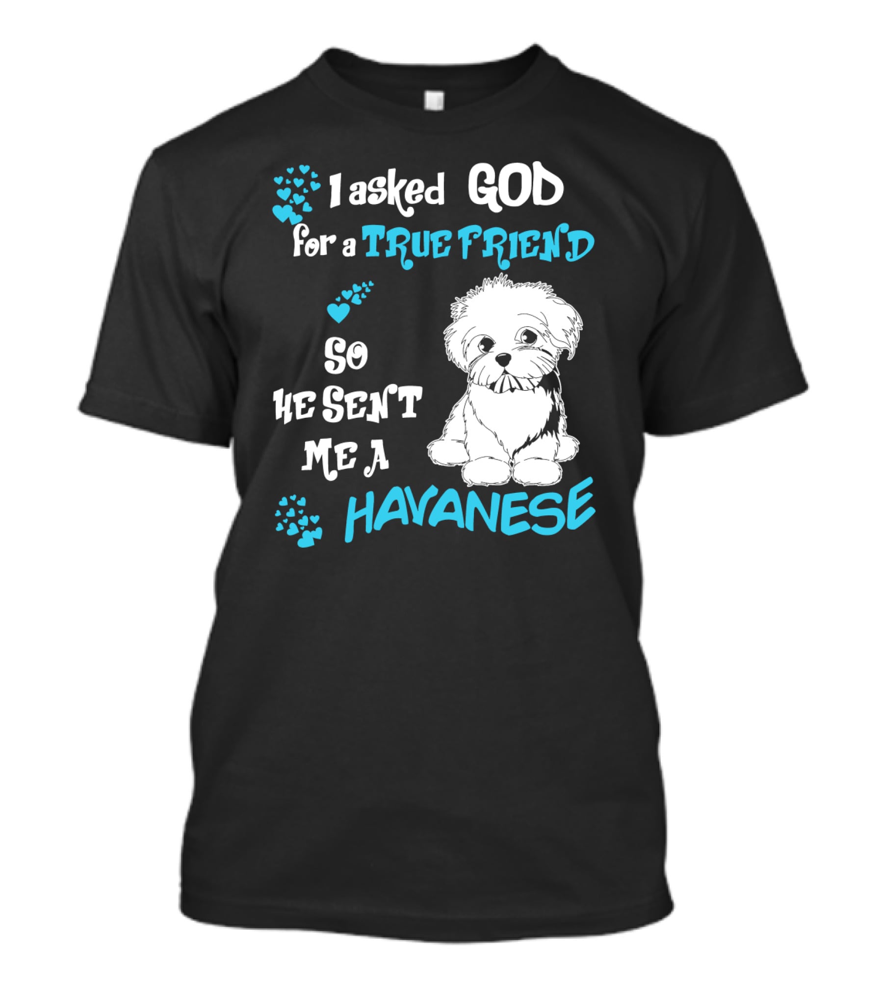 I Asked God For A True Friend So He Sent Me A Havanese T-Shirt