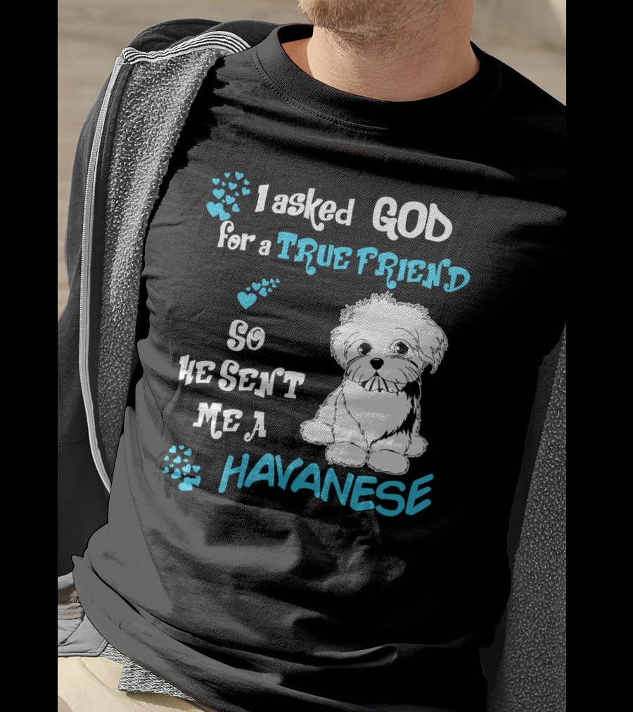 I Asked God For A True Friend So He Sent Me A Havanese T-Shirt