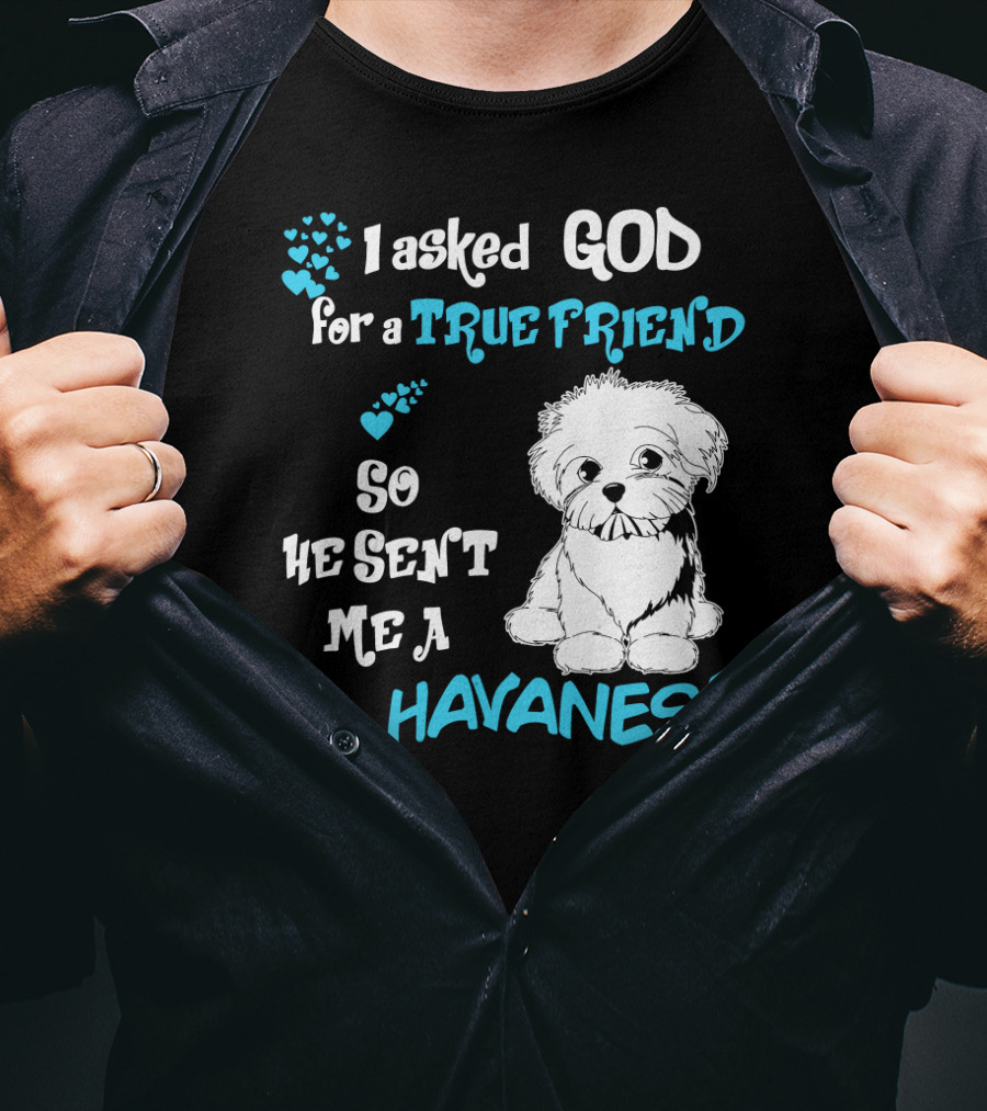 I Asked God For A True Friend So He Sent Me A Havanese T-Shirt