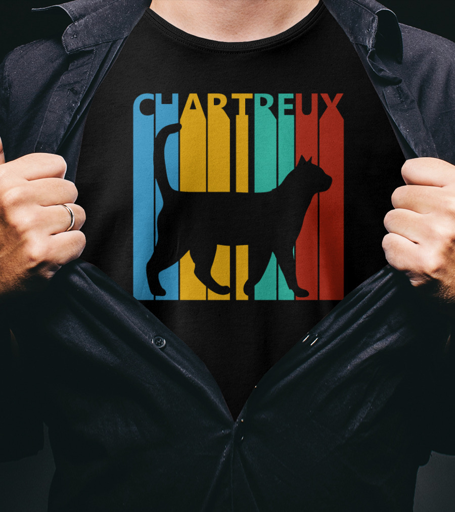 CHARTREUX Cat Silhouette Color Stripes T-Shirt