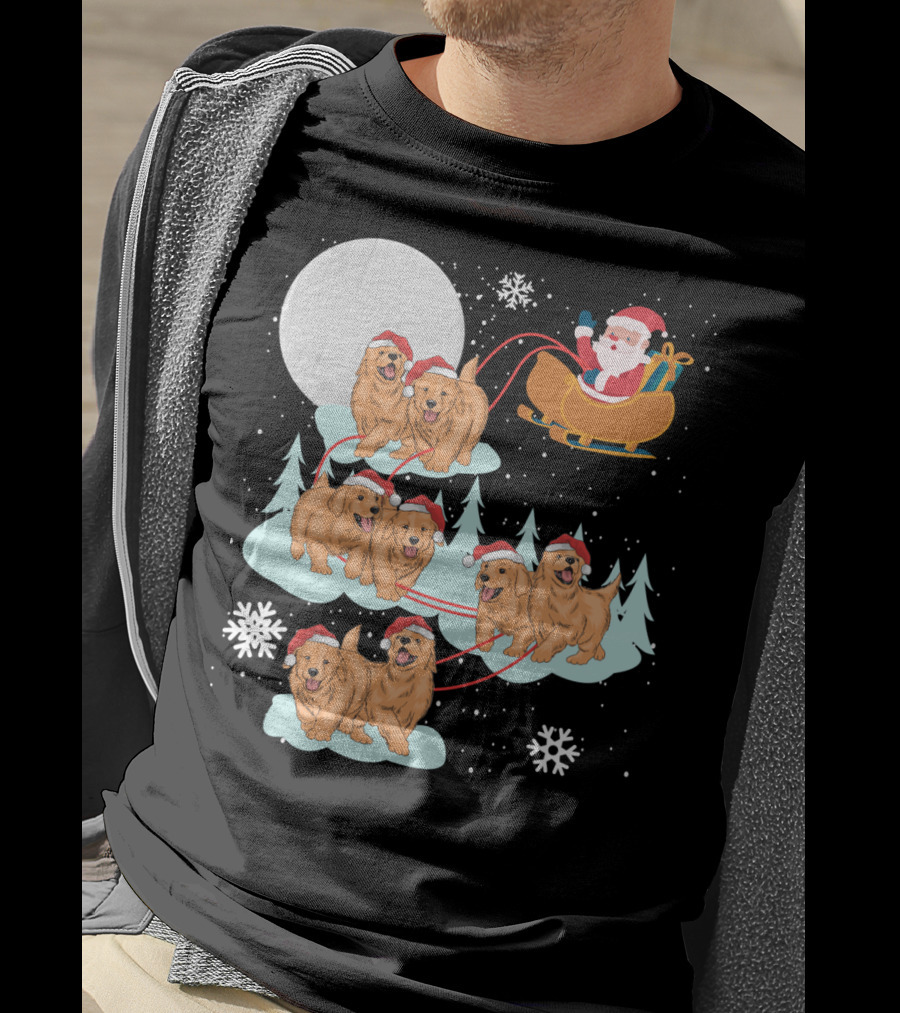 Funny Christmas Golden Retriever Santa Sleigh Holiday Scene T-Shirt