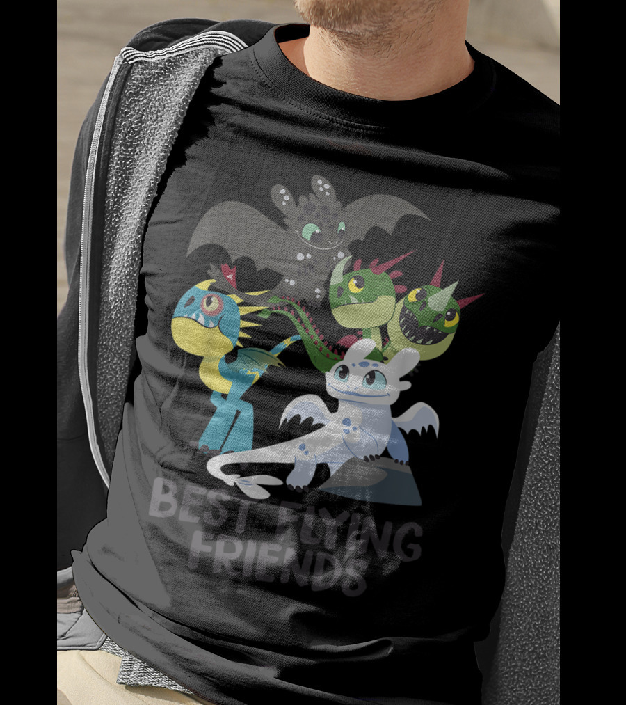 Best Flying Friends How To Train Your Dragon 3 Hidden World T-Shirt