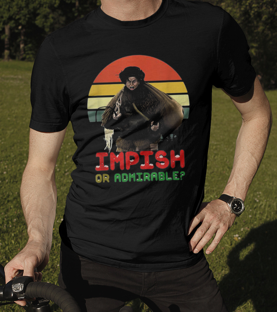 Impish Or Admirable Vintage Retro Sunset T-Shirt