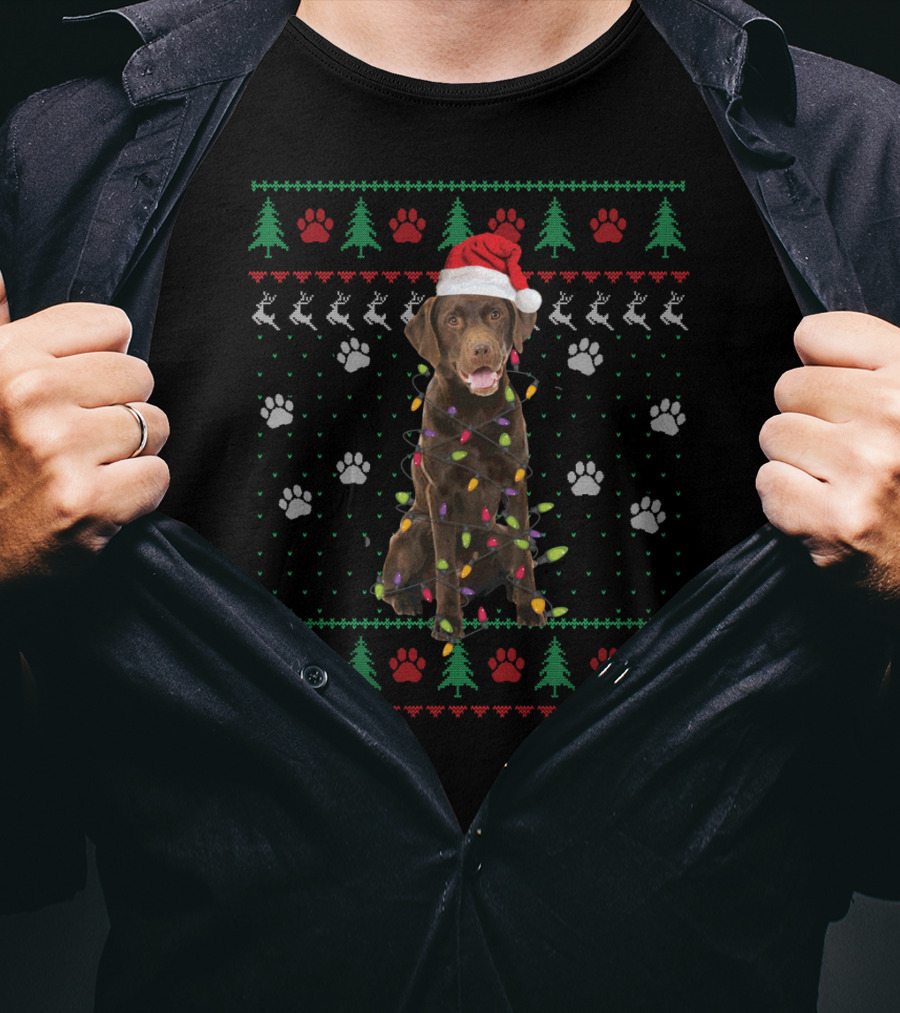 Christmas Chocolate Labrador With Santa Hat And Lights T-Shirt