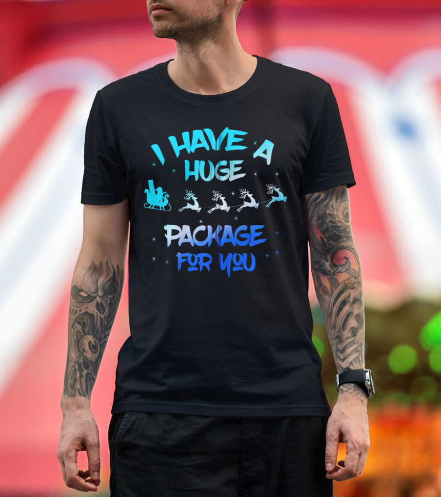 I Have A Huge Package For You Santa Reindeer Sleigh T-Shirt