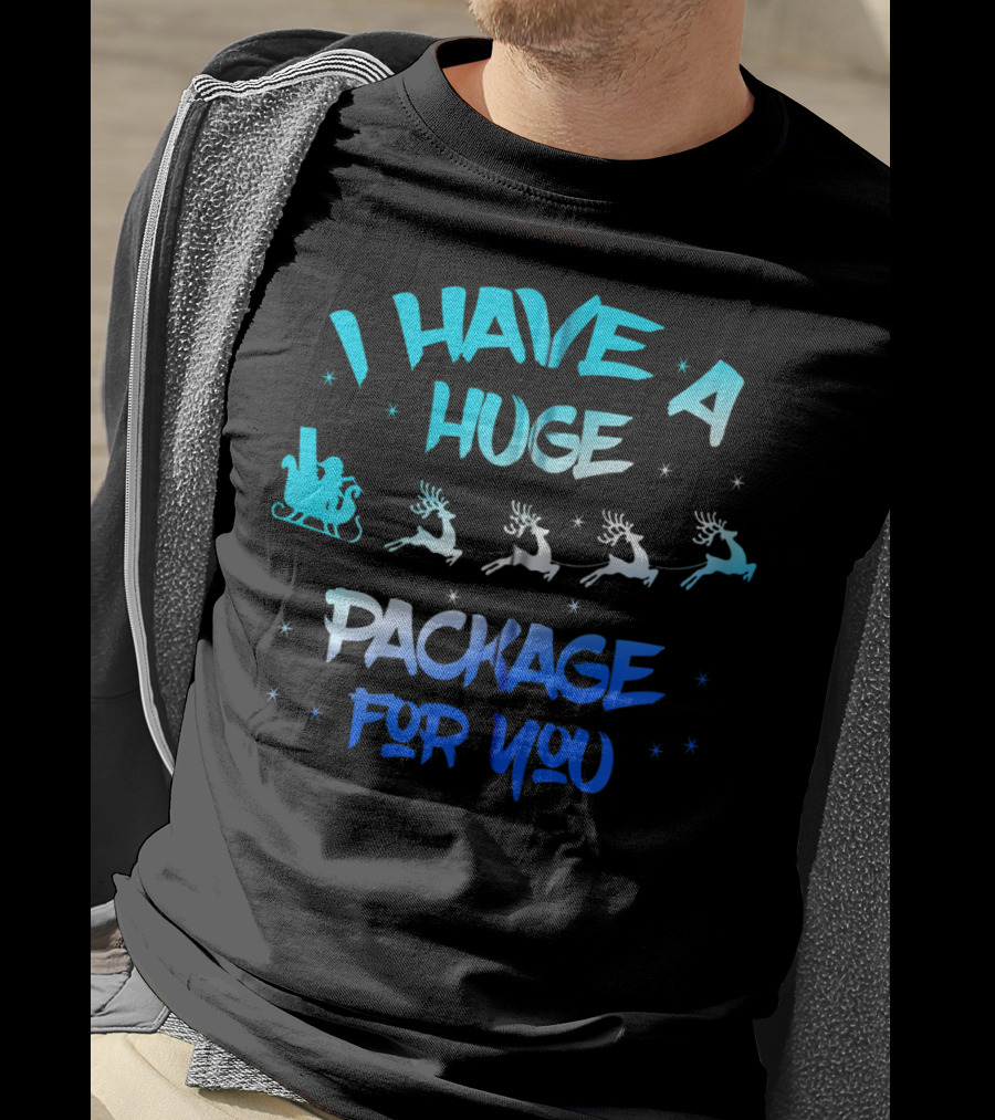 I Have A Huge Package For You Santa Reindeer Sleigh T-Shirt