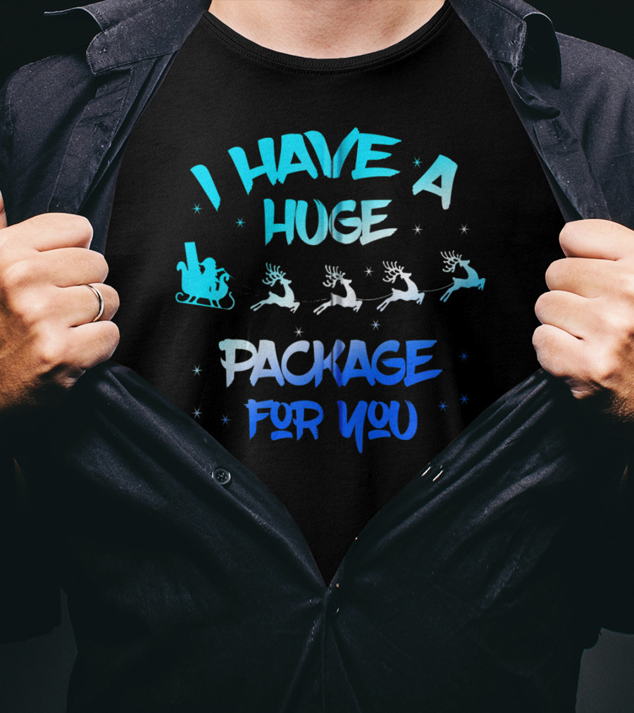 I Have A Huge Package For You Santa Reindeer Sleigh T-Shirt