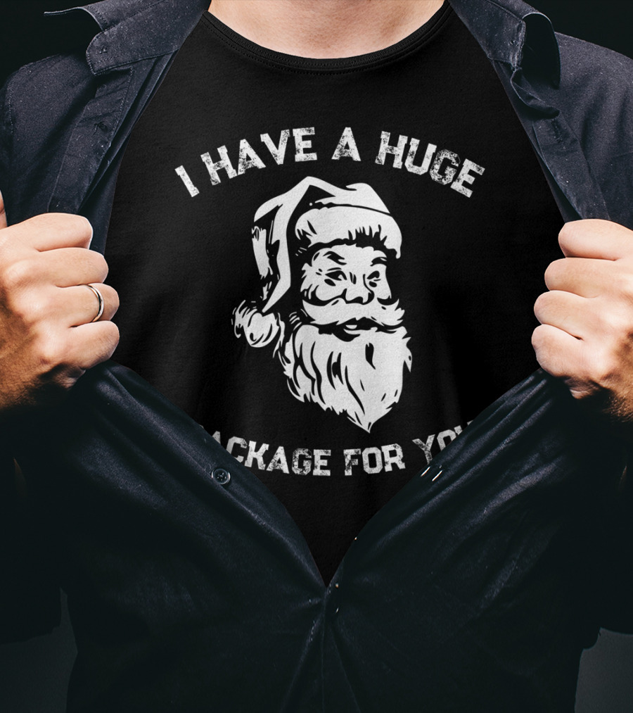 I Have A Huge Package For You Santa T-Shirt