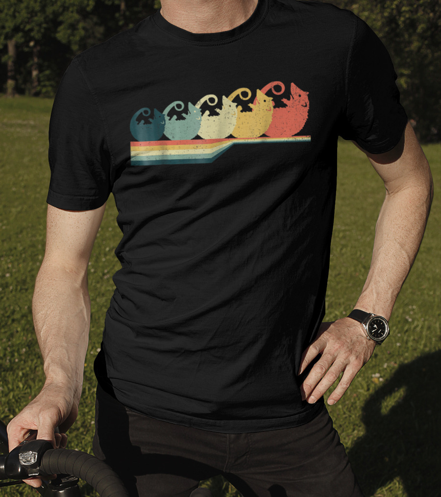 OPOSSUM Vintage Style Retro Rainbow T-Shirt