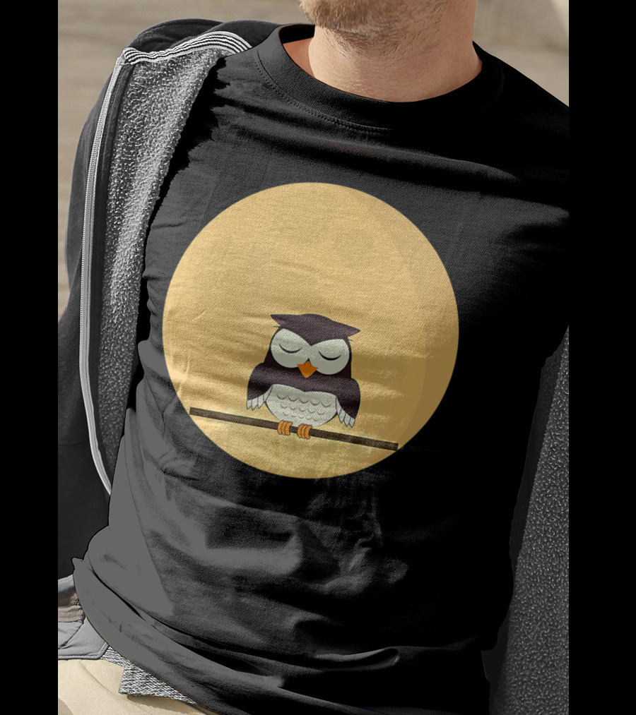 An Owl And The Full Moon Night Sky T-Shirt