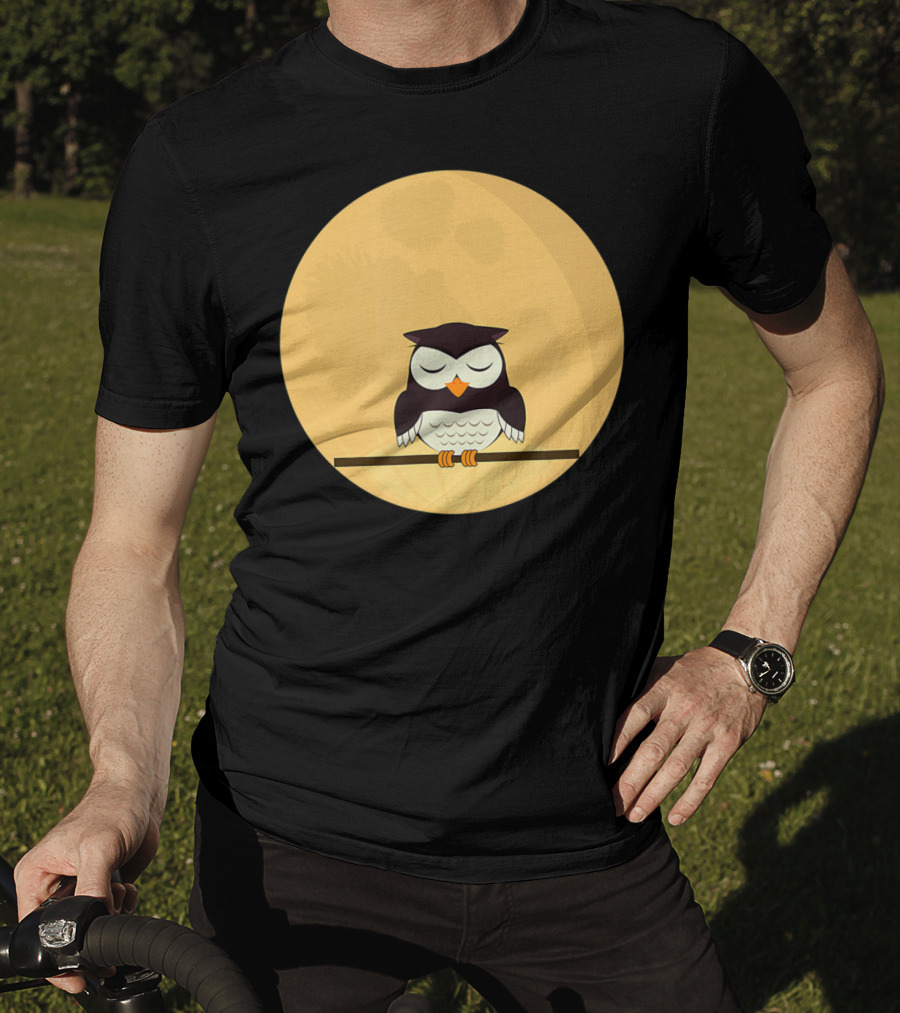 An Owl And The Full Moon Night Sky T-Shirt