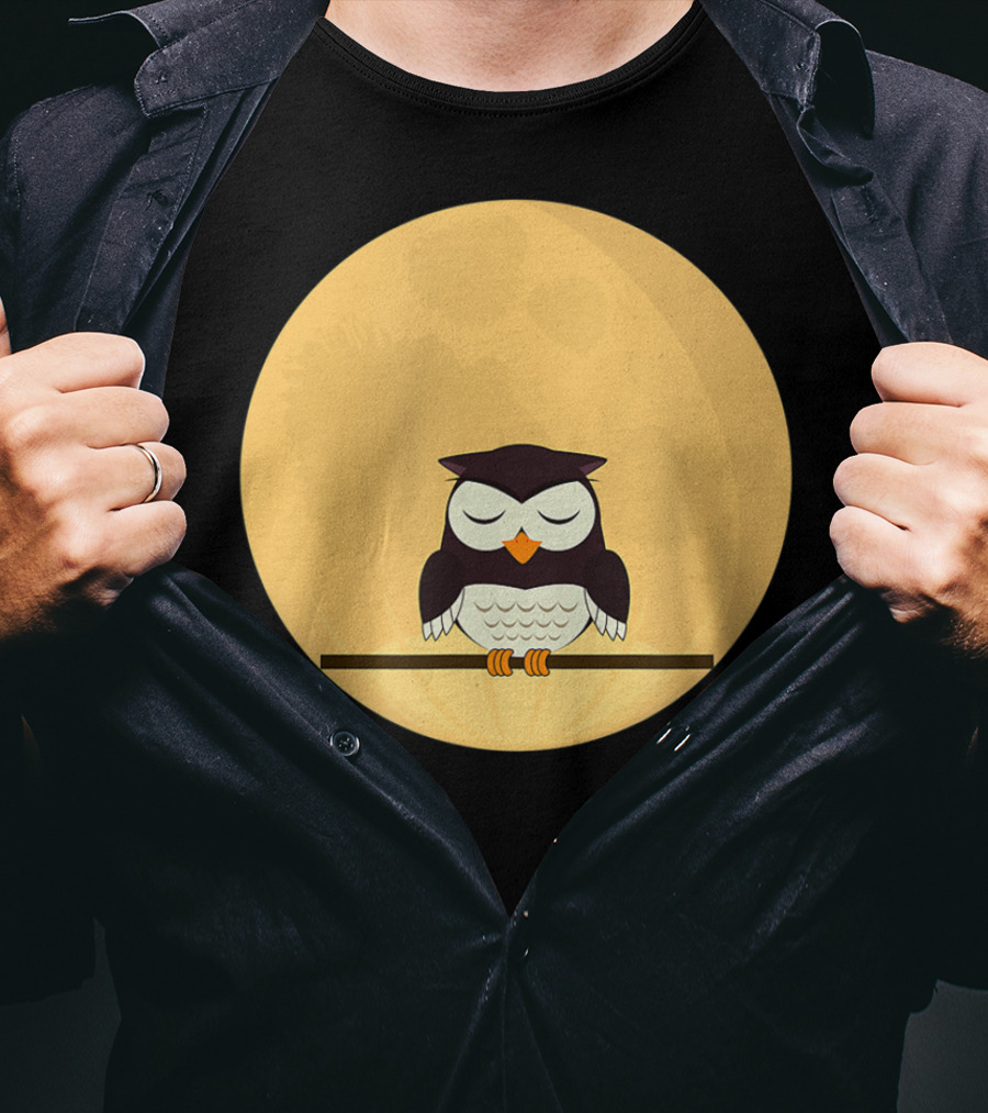 An Owl And The Full Moon Night Sky T-Shirt